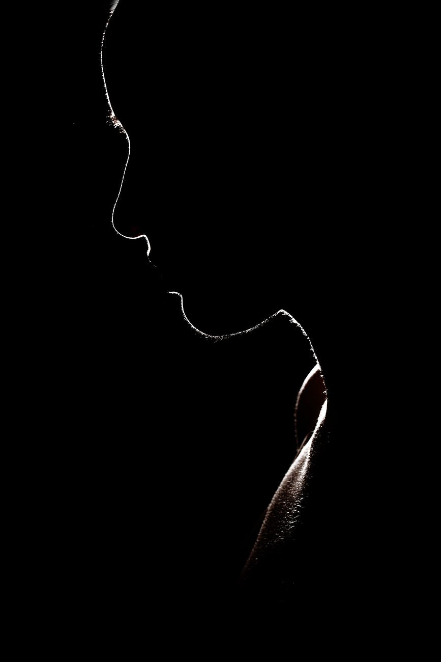 silhouette photo of woman