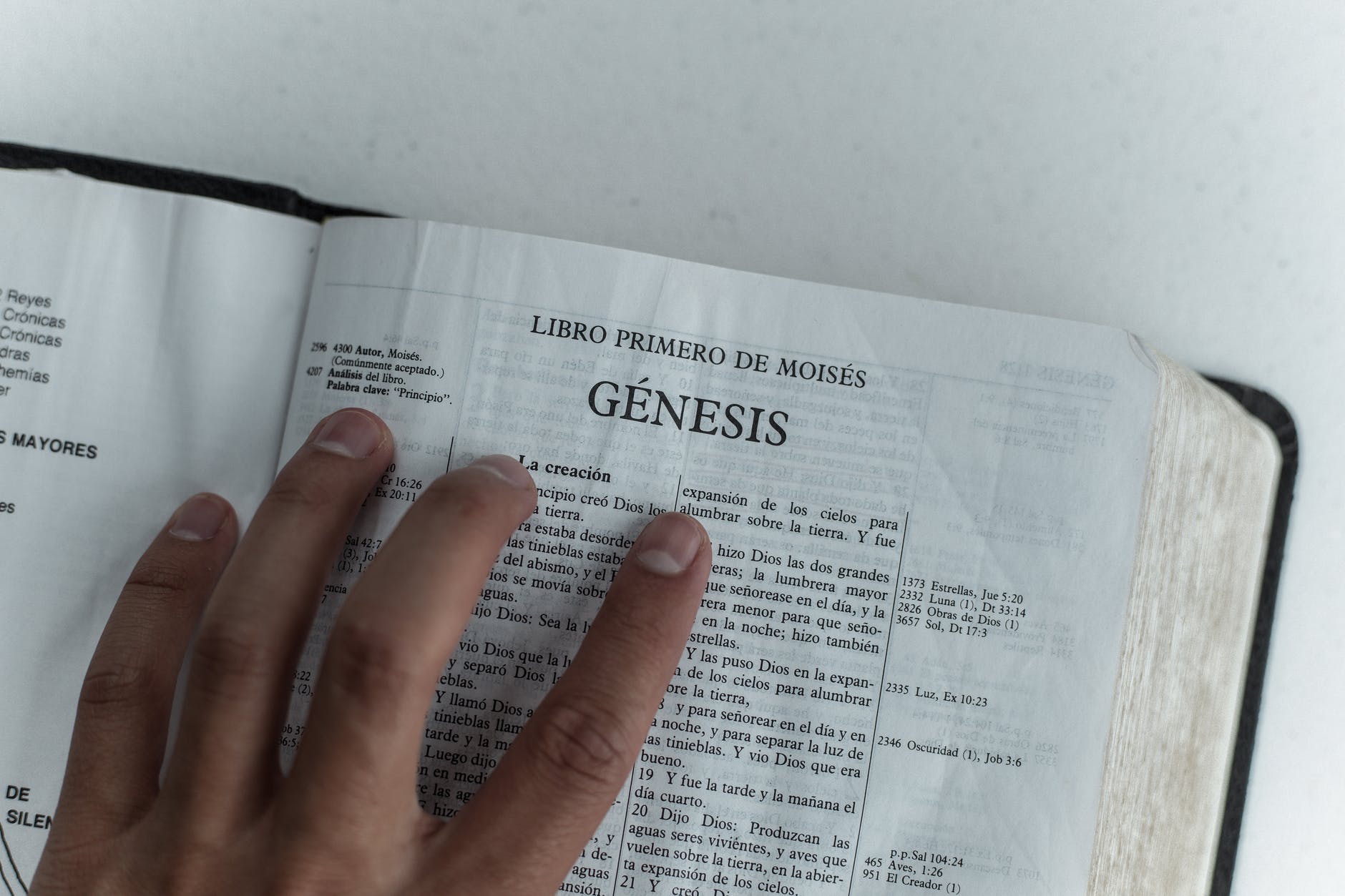 photo of person holding a bible