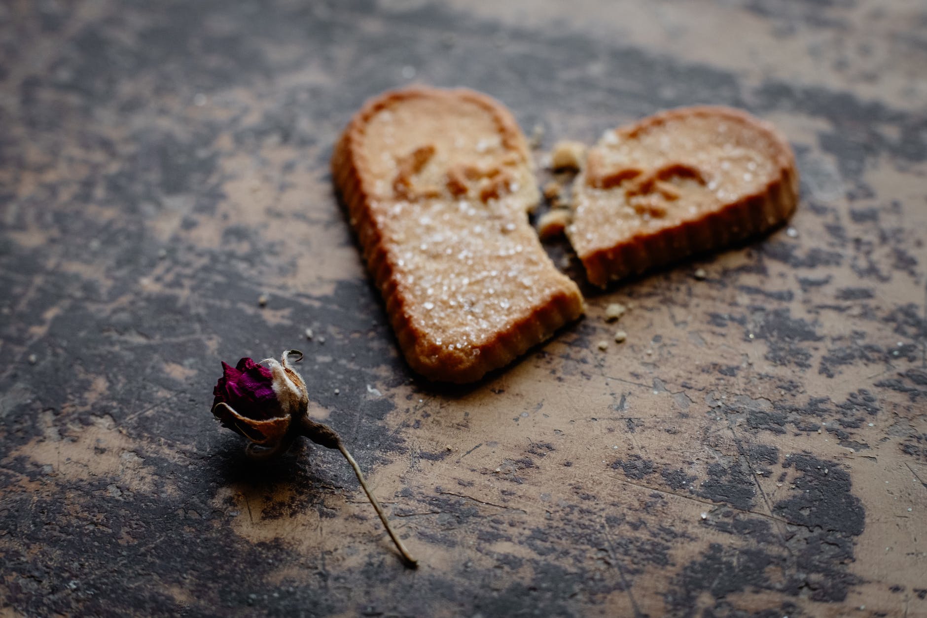 dry rose flower next to broken heart shaped cookie