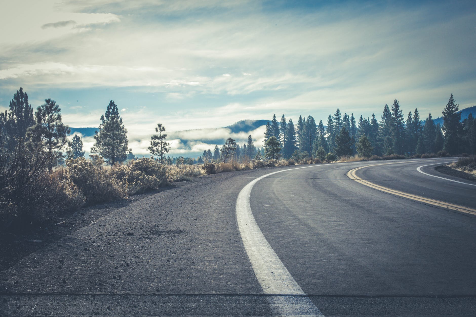 gray concrete road near forest