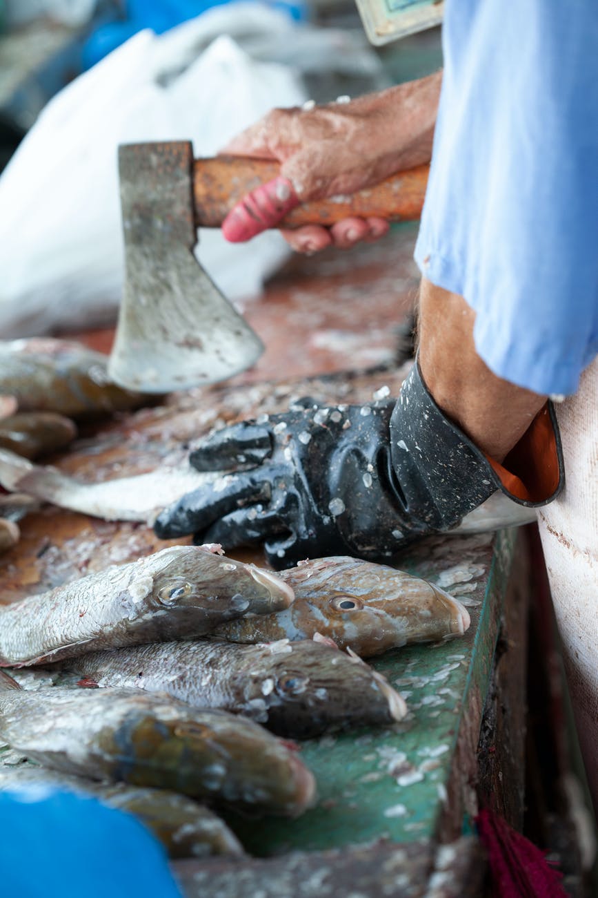person chopping fishes